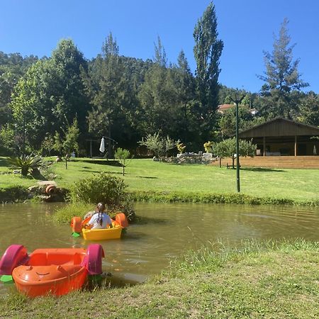 Villa Quinta Da Vinha Do Souto Arouca Exterior foto
